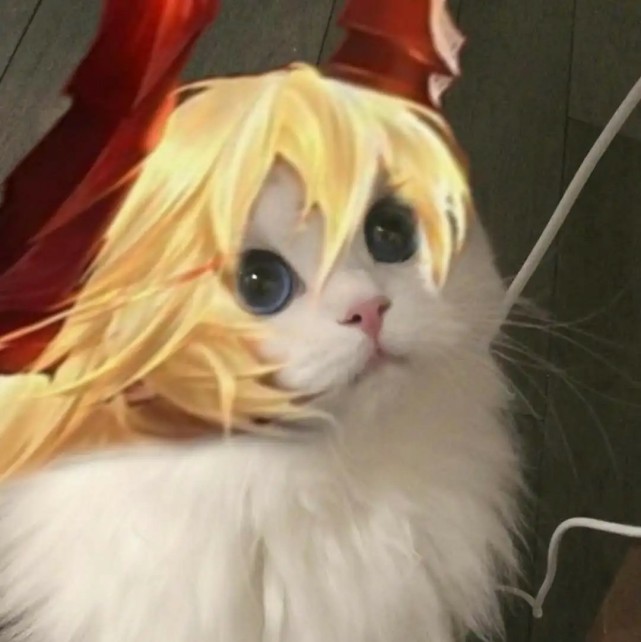 "王者荣耀接头小猫咪头像"(03)