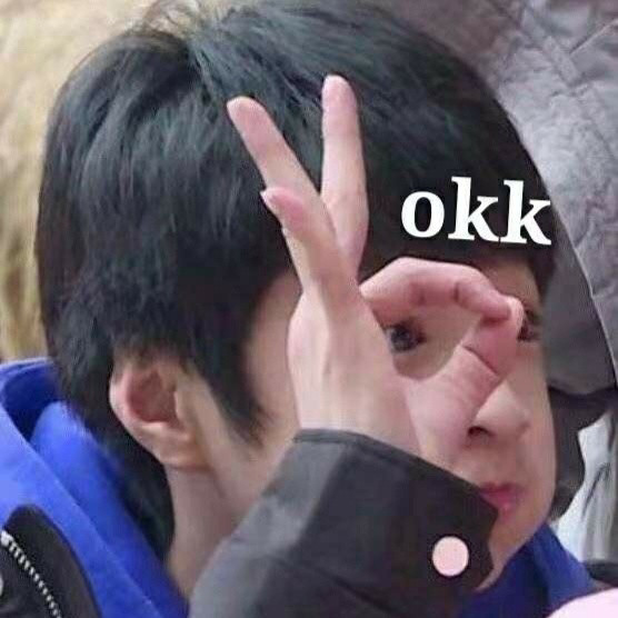第3期刘耀文表情包