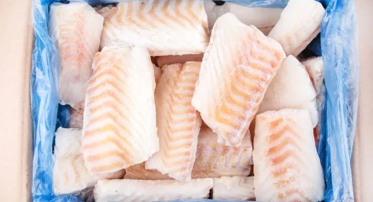 中国大连和青岛工厂原料短缺全球白肉鱼市场收缩