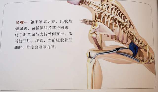 瑜伽干货又来了:侧角扭转收侧腰很棒,但你要找准发力点才行