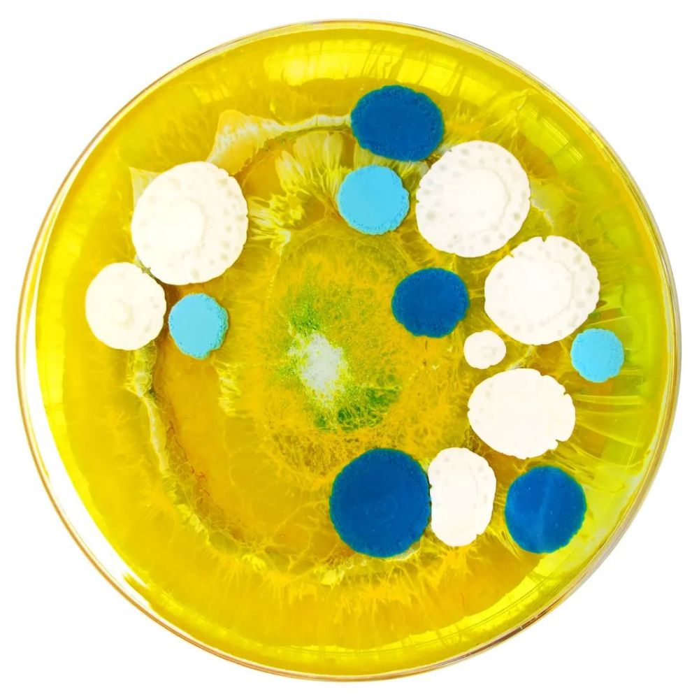 这一尝试,就让她开启了用培养皿绘画的艺术人生,克拉丽·赖斯的细菌