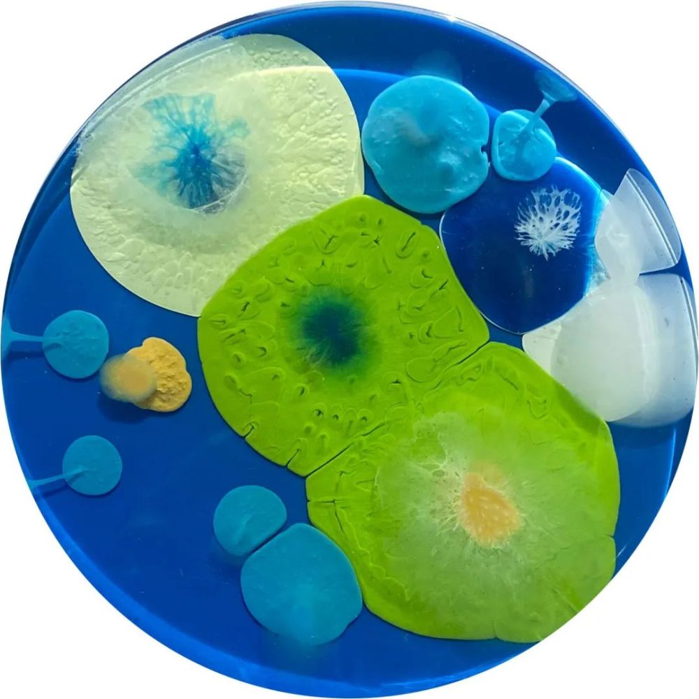 生物专家用培养皿画画,画成的细菌作品,色彩炸裂