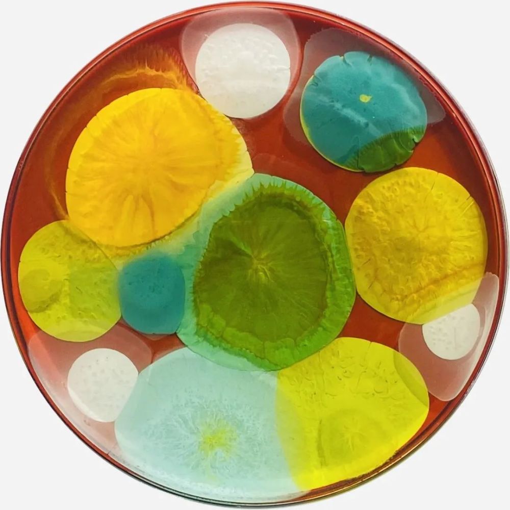这一尝试,就让她开启了用培养皿绘画的艺术人生,克拉丽·赖斯的细菌