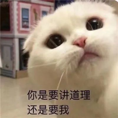表情包:可爱卖萌的萌宠表情