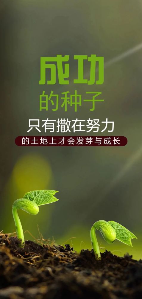 最新朋友圈早安 励志语录文案