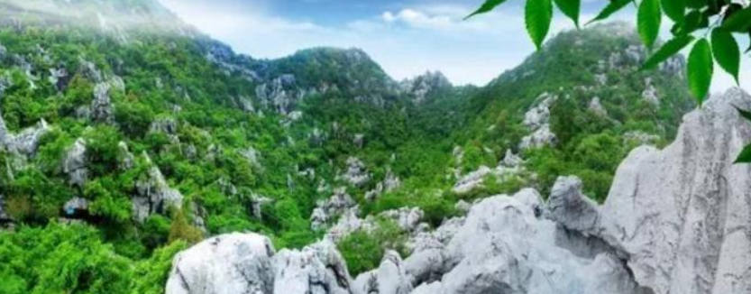 【政府合作】集团全力助推浙江衢州常山县传统产业加快升级,新兴产业