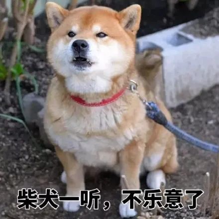 一波柴犬斗图表情包