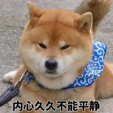 一波柴犬斗图表情包