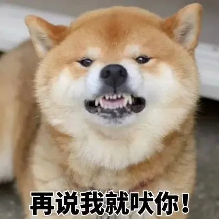 一波柴犬斗图表情包