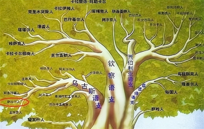 西魏人口_东魏西魏地图(3)