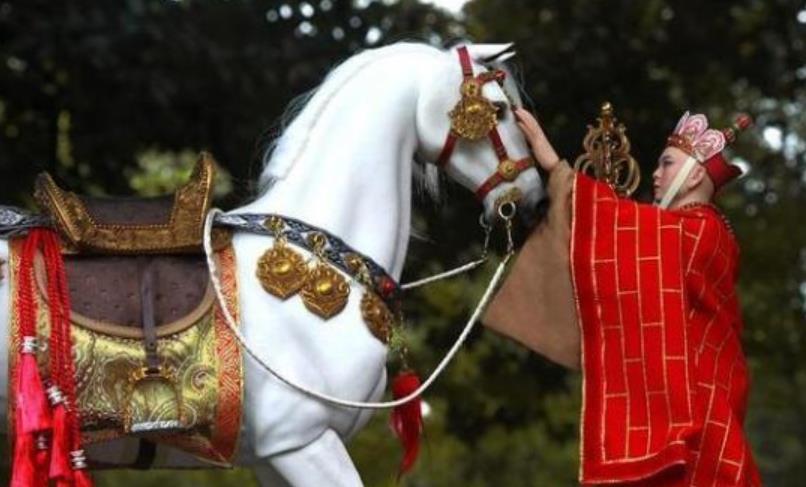 把一生献给《西游记》的白龙马,拍摄完沦为赚钱工具,最后惨死马棚