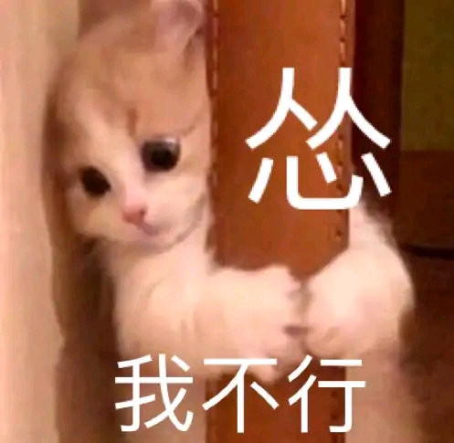 表情包/高人竟然在我身边