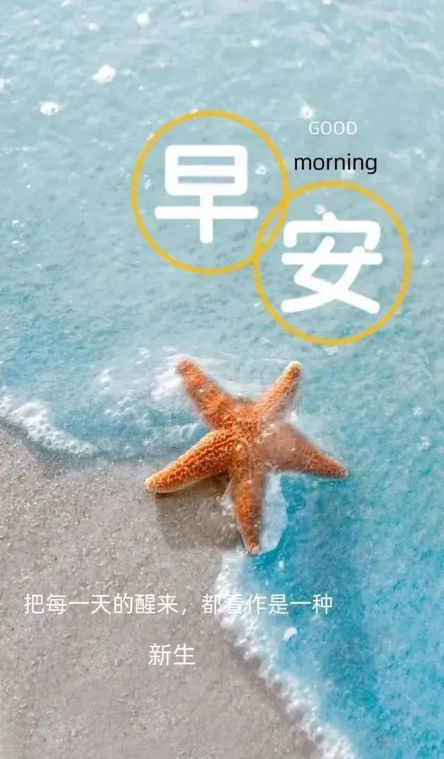 非常漂亮的美女早安动态表情图片 最美早晨好问候动态
