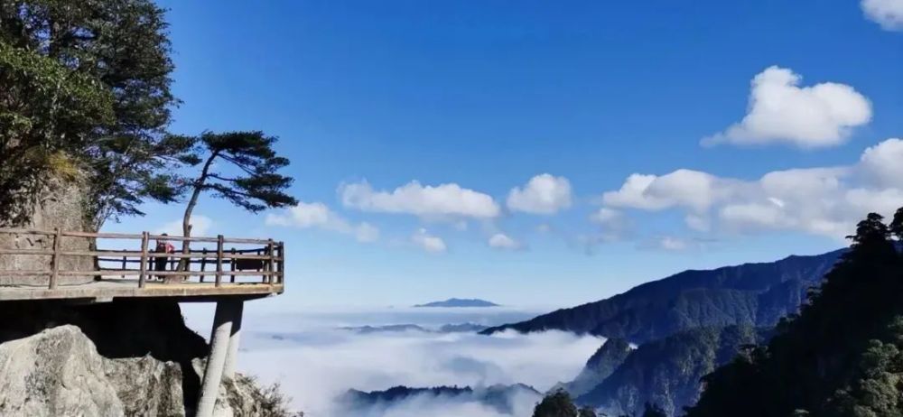 莽山五指峰景区悬空栈道