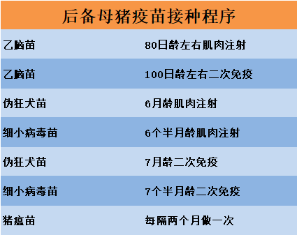 养猪要打哪些疫苗?最实用的免疫程序表来了