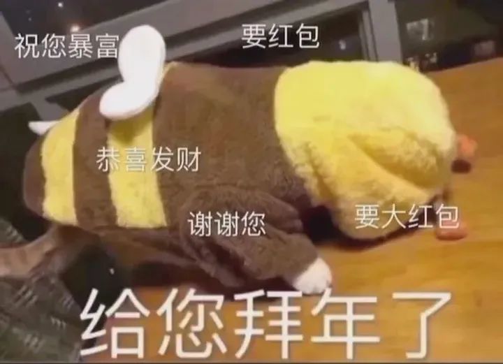 新年套路红包表情包|压岁钱拿来