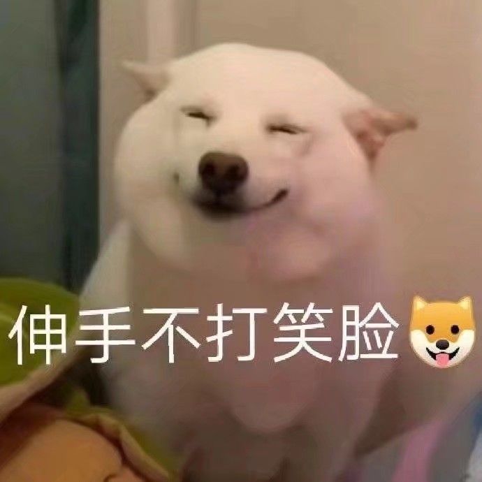 表情包:没有撤退可言