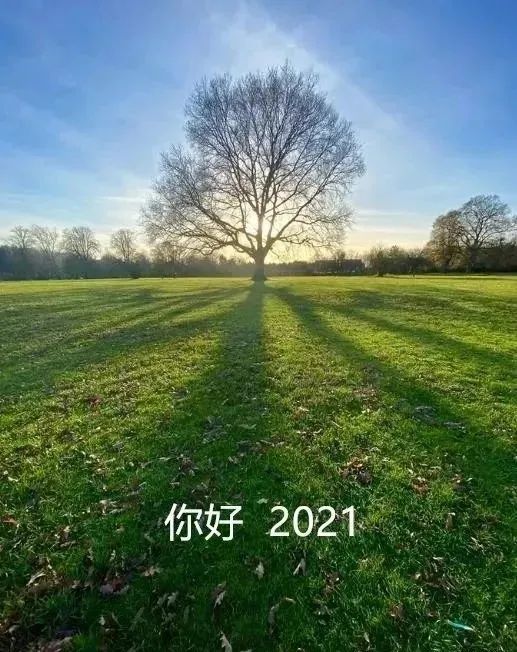 2021 新年第一缕阳光, 会带来好运!