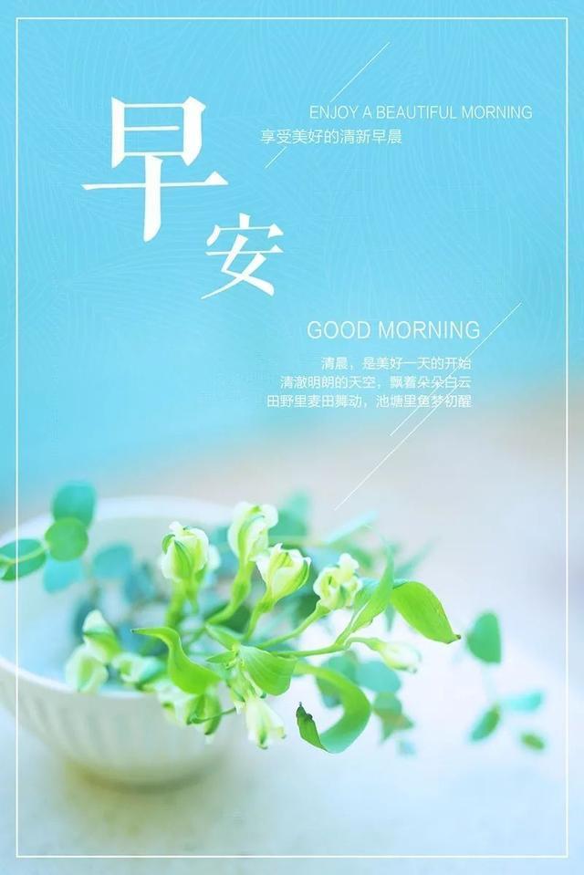 最新2022早安励志图片,2020早安最火图片励志 早安心语励志图片句子:不去追逐你所渴求,你