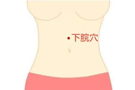 位于胸骨下端和肚脐连线中间【中脘穴】两个穴位助消化