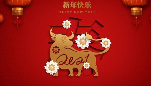 给老师的新年祝福短信 感谢老师的新年祝福语