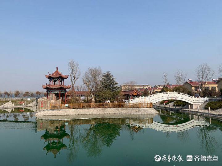 我和我在乎的家乡丨高密松兴屯:有"传奇",有颜值