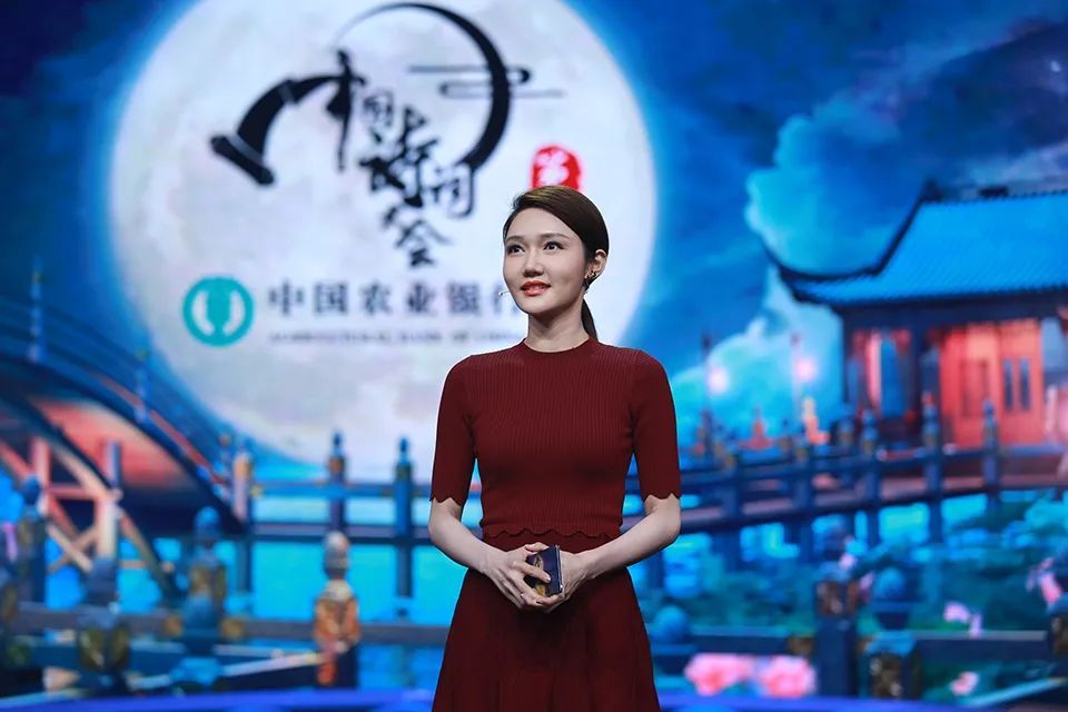 春晚新主持人身份揭秘龙洋原来是湘妹子