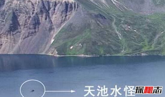 长白山天池怪兽真的存在吗,与美国夏普朗湖水怪极其相似