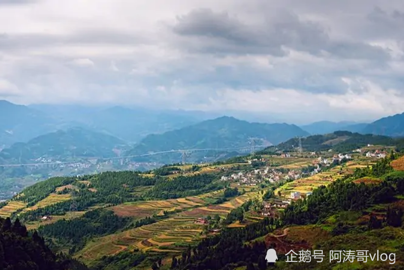 泸州古蔺县城人口多少_泸州古蔺麻辣鸡图片(2)