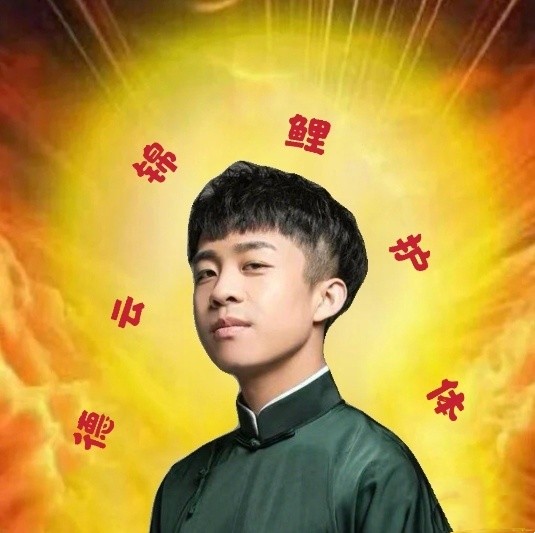 德云锦鲤新年的德云锦鲤头像用起来