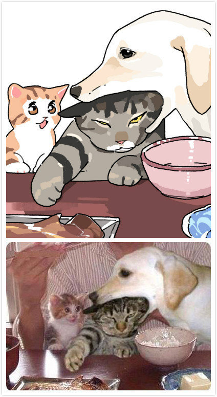 【漫画】现实中的猫咪画成漫画