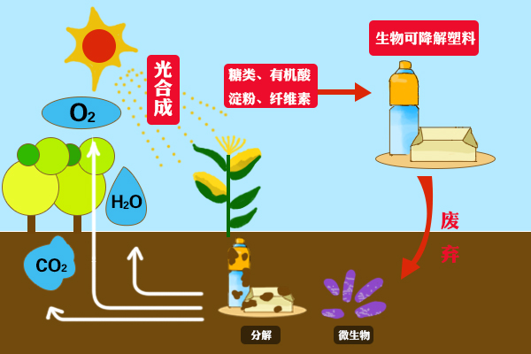 可降解塑料袋的检测有哪些?又是怎么检测的呢?