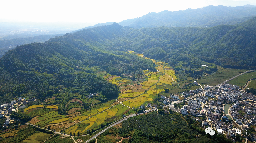 龙山村 腾讯网