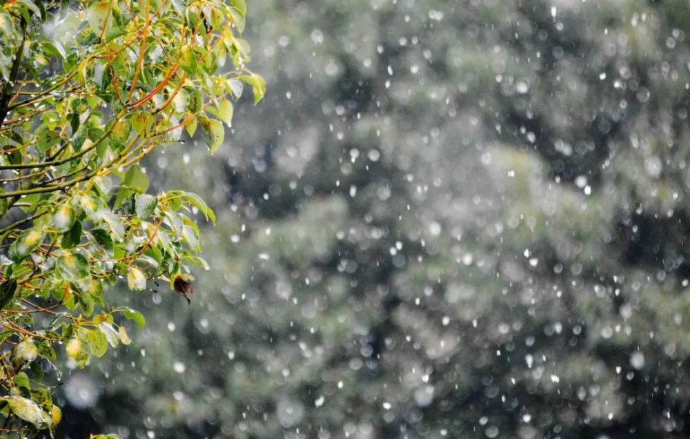 巨鹿本周小雨雨夹雪来袭一周天气早知道