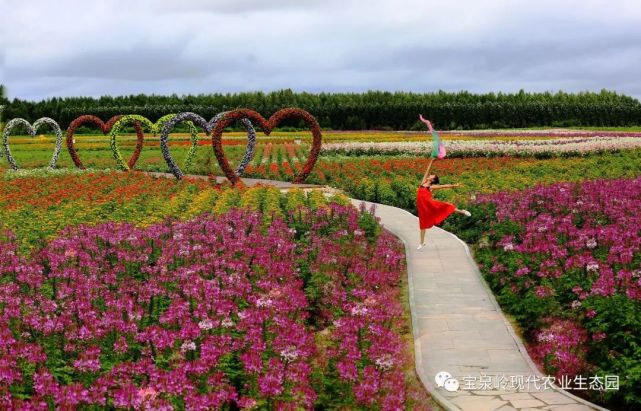 宝泉岭现代农业生态园晋升4a级旅游景区