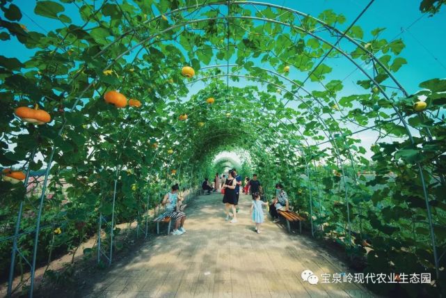宝泉岭现代农业生态园晋升4a级旅游景区