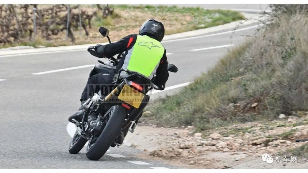 180匹的凯旋tiger1200!水鸟和大野驴要小心喽