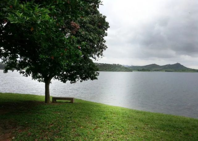 春节期间去东莞这些地方需要预约!东宝公园,松湖烟雨,可园