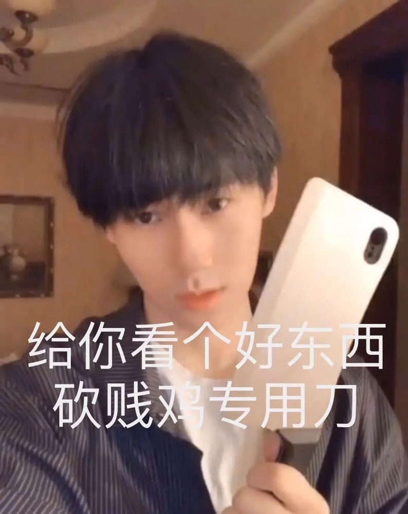 张哥表情包来啦!/张真源