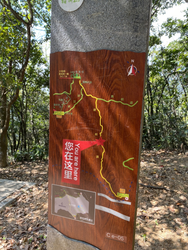 挑战梧桐山登山道