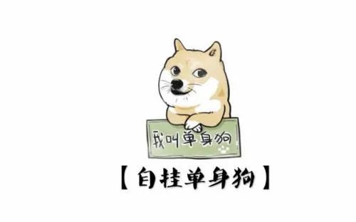 情人节适合单身狗发的搞笑说说文案,句句扎心!