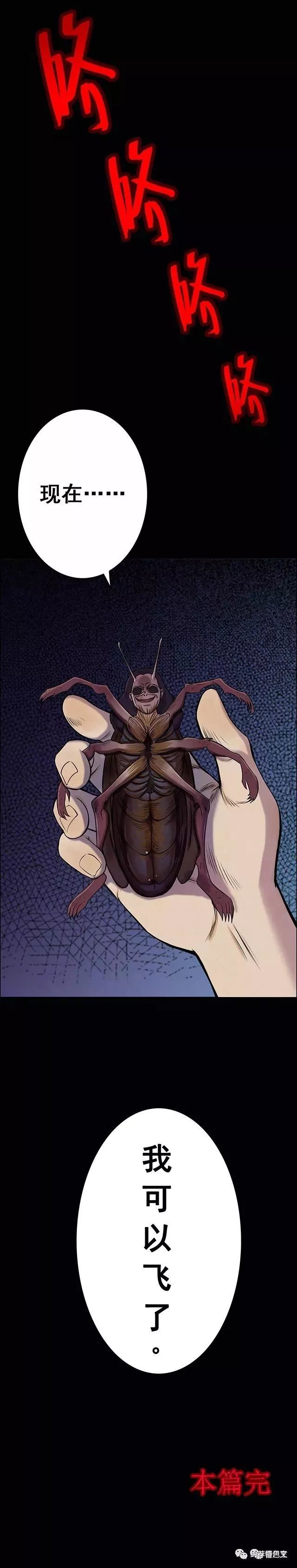 人性恐怖漫画《虫子》,虫子恐惧症慎入!
