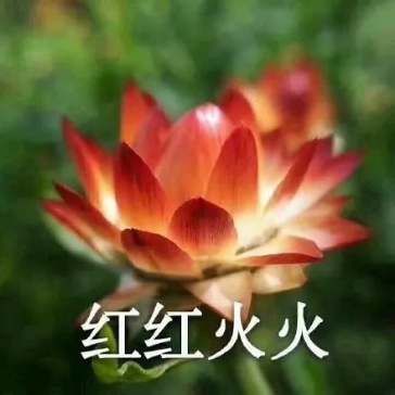 2021走运图片,2021年好运气图片微信 2021年桃花运最好的星座