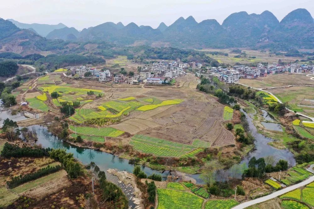 2月13日,一名摄影爱好者在广西柳州市融安县大良镇新和村油菜花海中