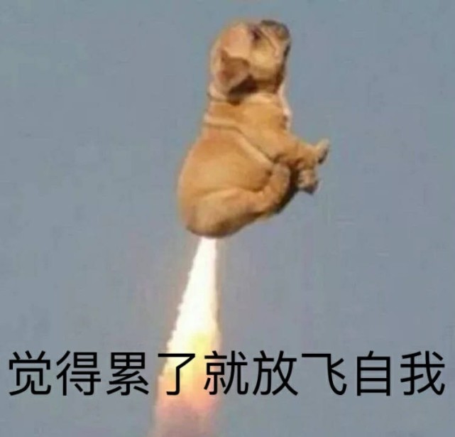 适合情人节发的沙雕文案