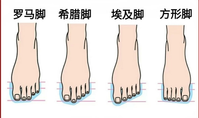 技巧一:根据脚型选鞋头