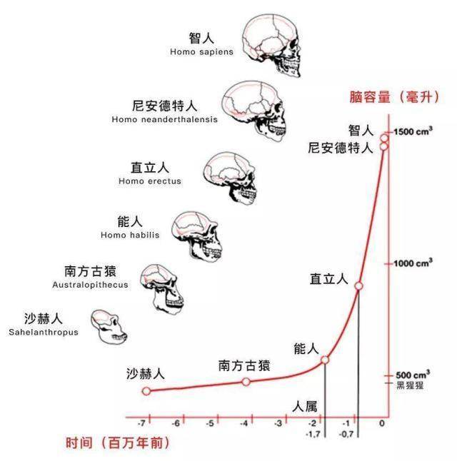 特勒斯人口_汤姆·希德勒斯顿(3)