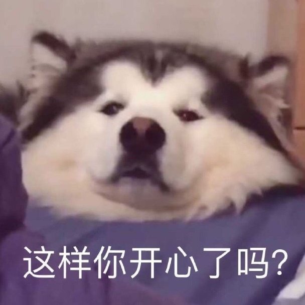 萌宠表情包:偷偷看你,你开心吗?
