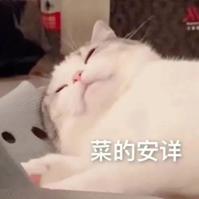 萌宠表情包:听,狗哭的声音!