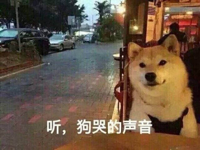 萌宠表情包:听,狗哭的声音!